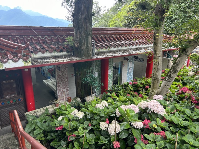 梨山賓館希利克步道森林健行