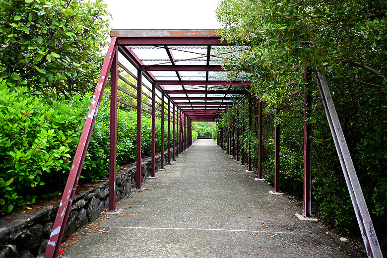 Z9+663梅雨季拍燕子，介紹落日灣、右岸濕地、鵬村濕地和鳥仔咖。加映Z6III拍燕子及崁頂生態公園。