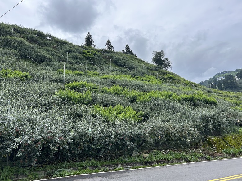 晨 騎 梨 山 ( 下 集 ) 梨 山 再 見