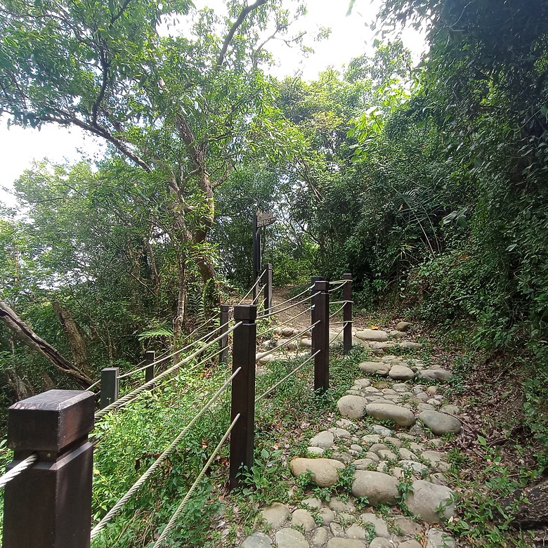 豐原公老坪蜈蚣崎登山步道，舒適遼闊低難度的登山步道