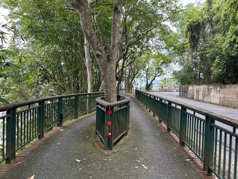 日月潭環潭自行道(下)向山段水上自行車道