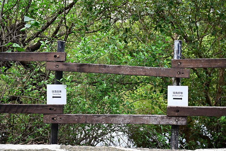 Z9+663梅雨季拍燕子，介紹落日灣、右岸濕地、鵬村濕地和鳥仔咖。加映Z6III拍燕子及崁頂生態公園。