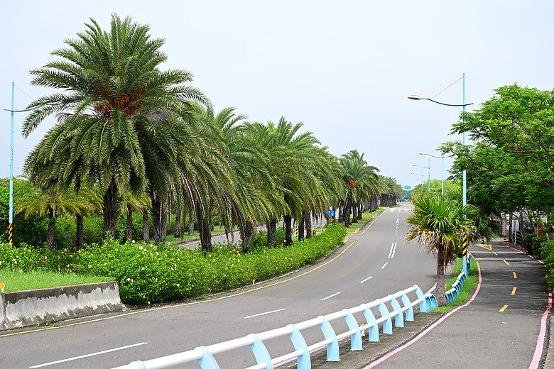 Z9+663梅雨季拍燕子，介紹落日灣、右岸濕地、鵬村濕地和鳥仔咖。加映Z6III拍燕子及崁頂生態公園。