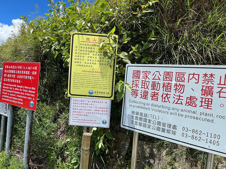 【高山百岳】陪老婆百岳系列｜三天兩夜奇萊主北