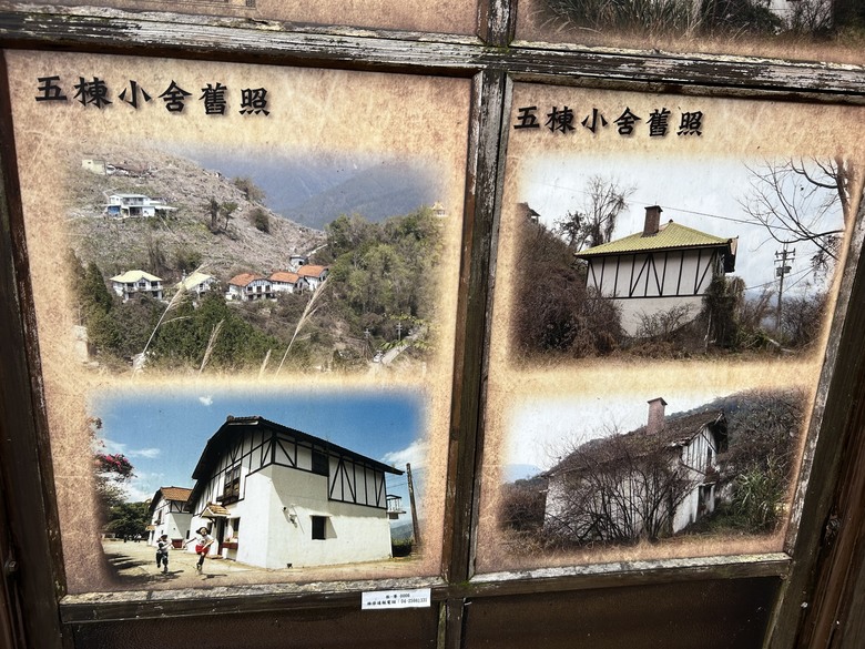 梨山賓館希利克步道森林健行