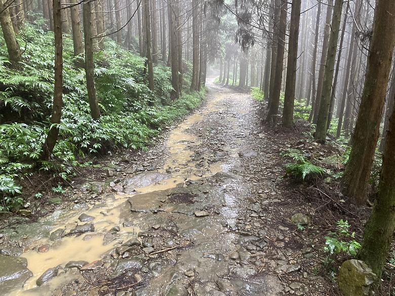 1代目RAV4車聚：苗栗蓬萊林道