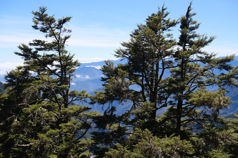 點我看大圖 【南橫溪頭山】媲美南橫三星百岳的一座巨岩高山
