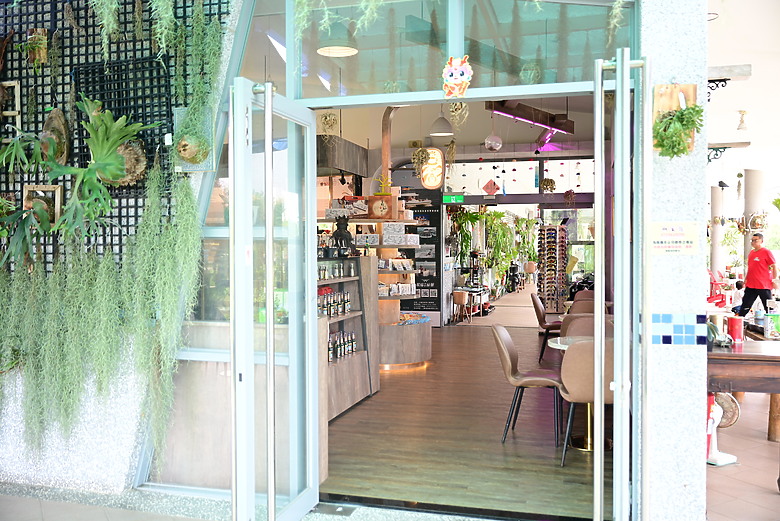 Z9+663梅雨季拍燕子，介紹落日灣、右岸濕地、鵬村濕地和鳥仔咖。加映Z6III拍燕子及崁頂生態公園。