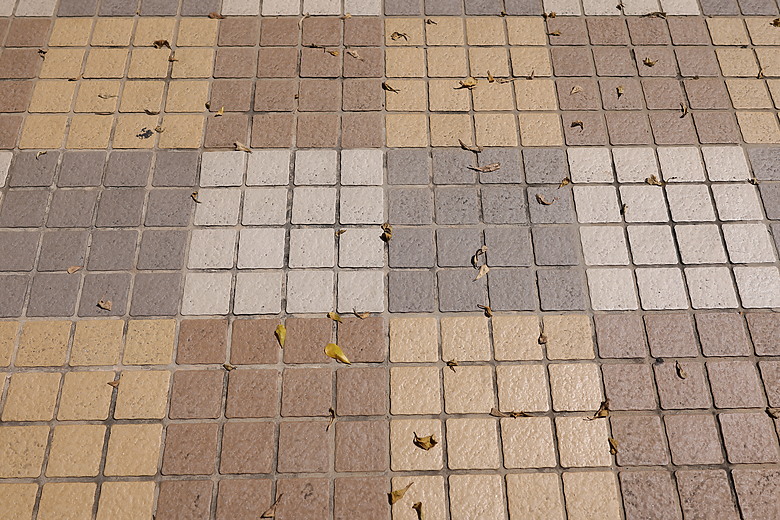 Canon RF 35mm f/1.4L VCM 評測報告｜攝錄一體、更輕更小更強大！