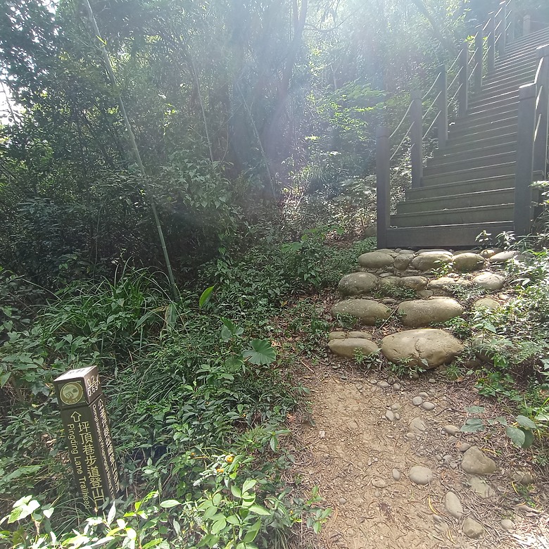 豐原公老坪蜈蚣崎登山步道，舒適遼闊低難度的登山步道
