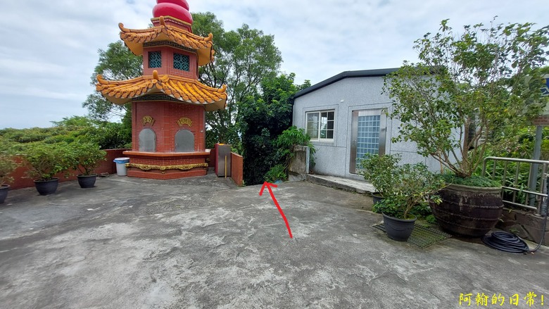 [2024 台北大縱走第七段] 竹柏參道 → 飛龍步道政大後山｜貓空來支霜淇淋｜充滿田園風光的樟樹步道
