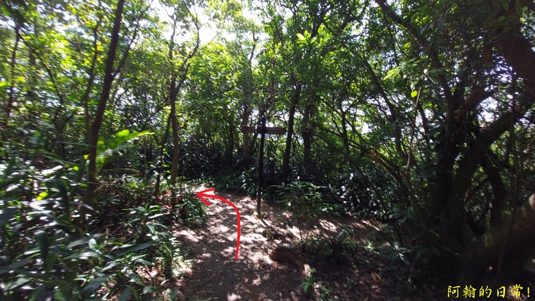 [2024 台北大縱走第五段] 捷運劍潭站 → 碧山巖｜遇到不知死活的眼鏡蛇｜台北市區、山巒美景 盡收眼底
