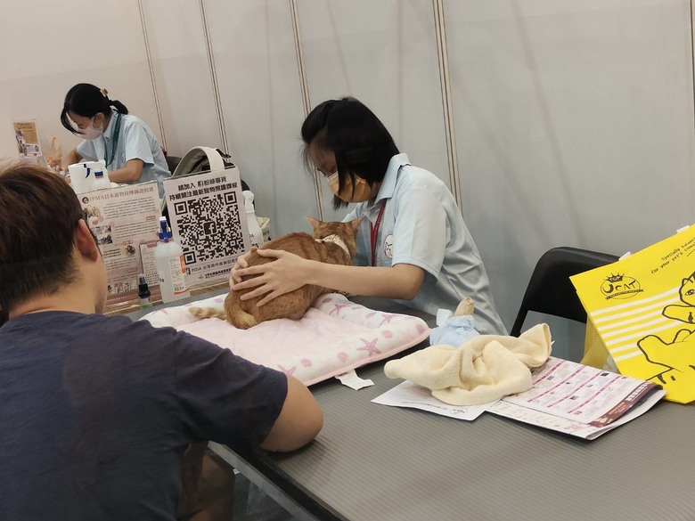 2024台北南港展昭寵物展倒數第二天，二層的寵物展真的好逛