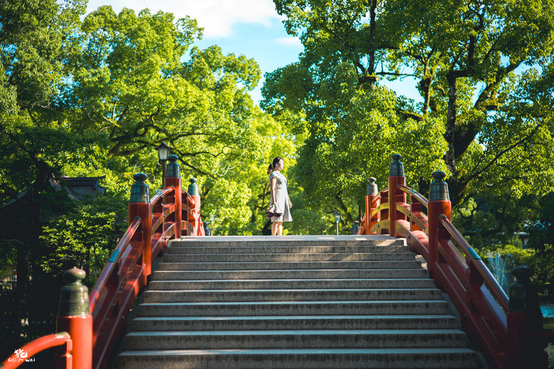 北九州自駕七日行 (福岡、由布院、長崎、佐賀)圖多