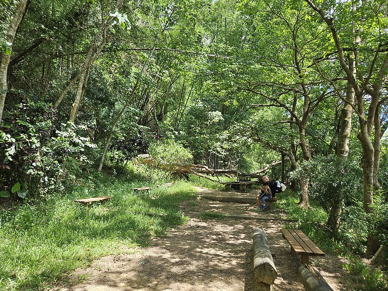 點我看大圖 美濃雙溪熱帶樹木園及黃蝶翠谷半日遊