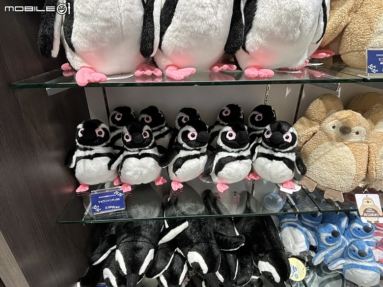 東京之旅｜東京晴空塔下的神祕的海洋奇妙冒險：墨田水族館一遊