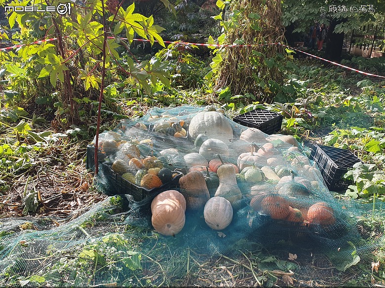 [大頭貓的海島] 漫遊馬德里(Spain: Madrid)