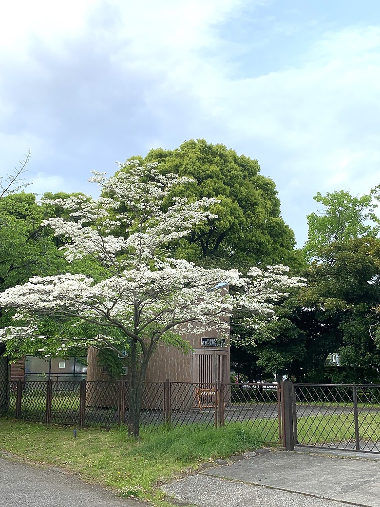 ＜日本＞2023東京放飛自我~日比谷公園、東京中城日比谷東京彼女展覽