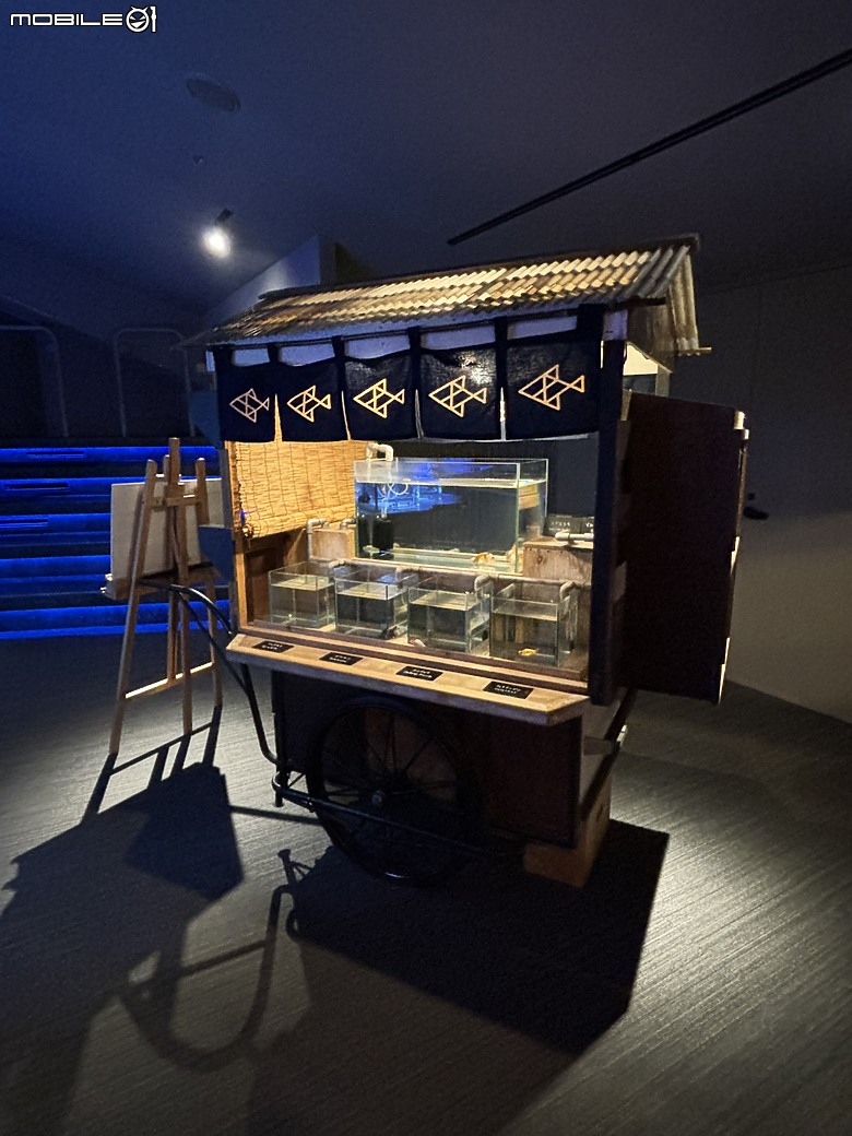 東京之旅｜東京晴空塔下的神祕的海洋奇妙冒險：墨田水族館一遊