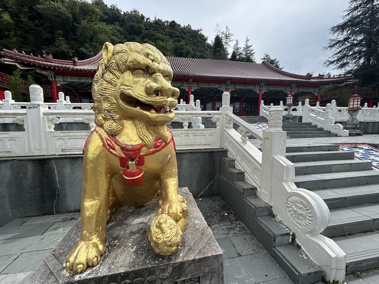 梨山賓館希利克步道森林健行