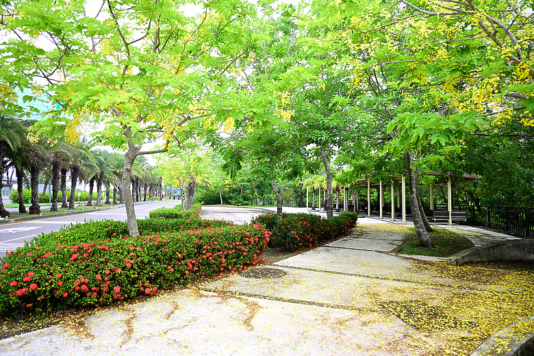 Z9+663梅雨季拍燕子，介紹落日灣、右岸濕地、鵬村濕地和鳥仔咖。加映Z6III拍燕子及崁頂生態公園。