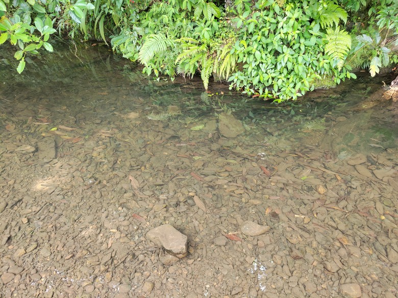 宜蘭頭城 | 最高寺廟 | 海景第一排 | 太和宮金殿