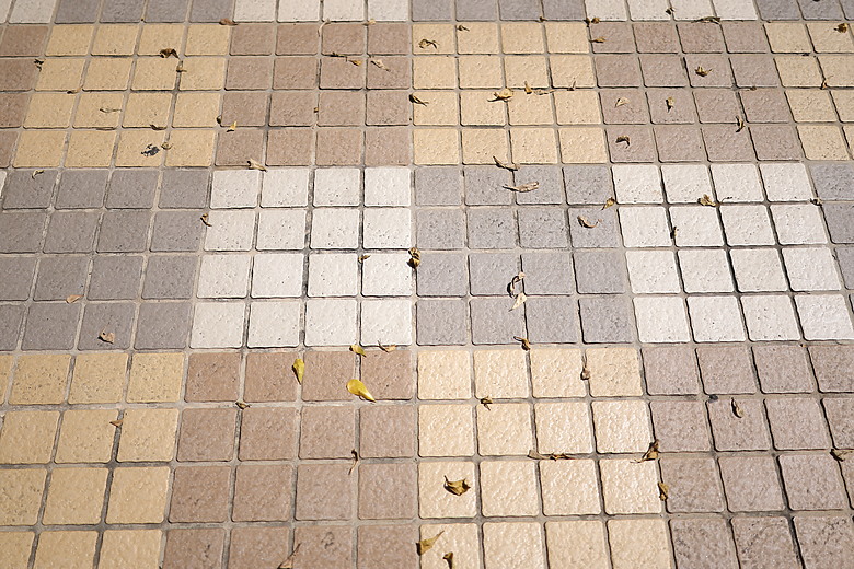 Canon RF 35mm f/1.4L VCM 評測報告｜攝錄一體、更輕更小更強大！