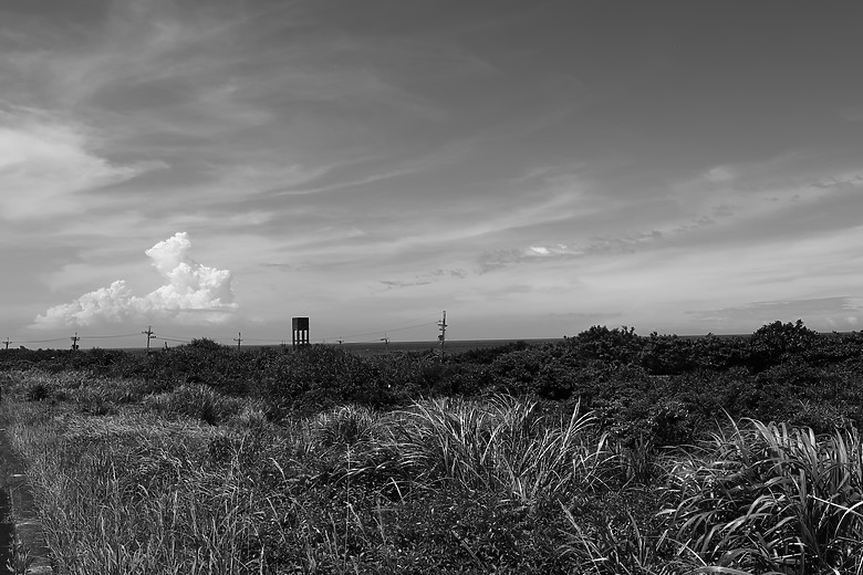 Canon RF 35mm f/1.4L VCM 評測報告｜攝錄一體、更輕更小更強大！