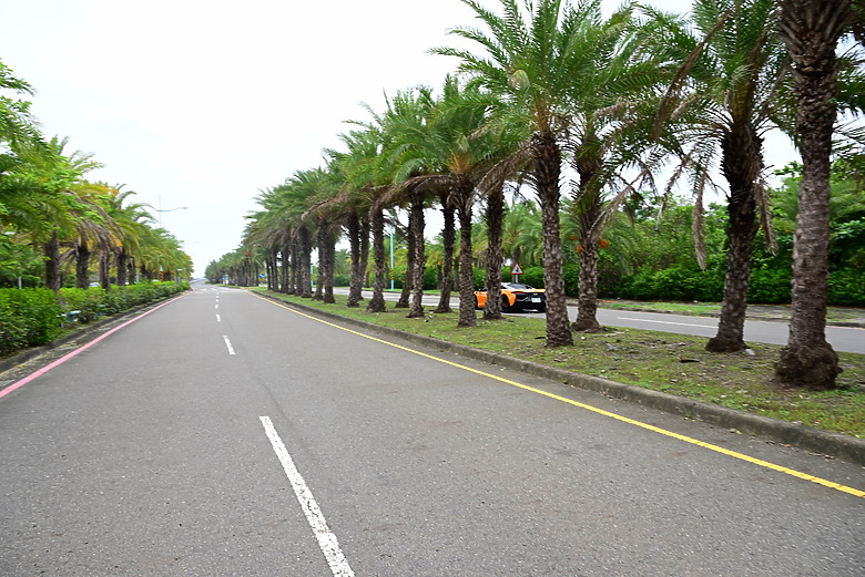 Z9+663梅雨季拍燕子，介紹落日灣、右岸濕地、鵬村濕地和鳥仔咖。加映Z6III拍燕子及崁頂生態公園。