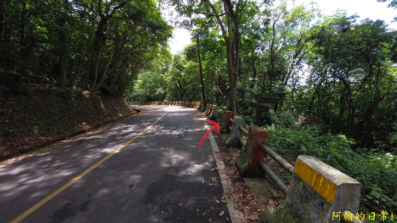 [2024 台北大縱走第五段] 捷運劍潭站 → 碧山巖｜遇到不知死活的眼鏡蛇｜台北市區、山巒美景 盡收眼底