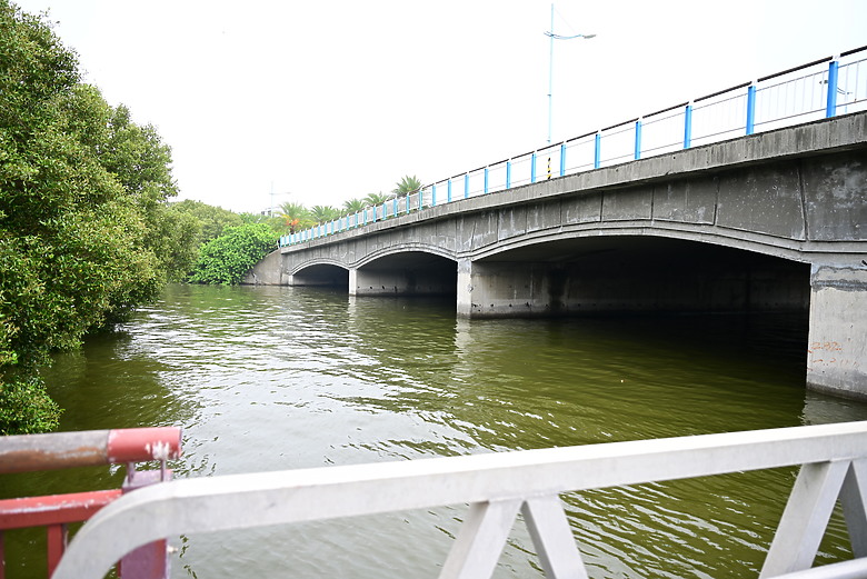 Z9+663梅雨季拍燕子，介紹落日灣、右岸濕地、鵬村濕地和鳥仔咖。加映Z6III拍燕子及崁頂生態公園。