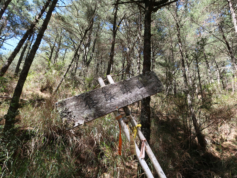 【南橫溪頭山】媲美南橫三星百岳的一座巨岩高山