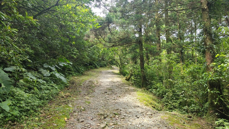宜蘭頭城 | 最高寺廟 | 海景第一排 | 太和宮金殿