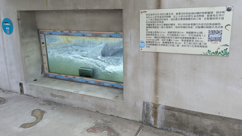 【不是遊記 - 7】新店河濱公園溜小孩新鮮據點(兔子窩、戲水河道、碧潭堰 三點一線)