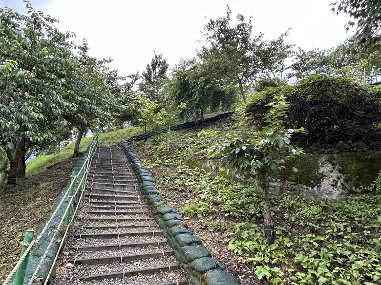 晨 騎 梨 山 ( 上 集 ) 發 現 梨 山