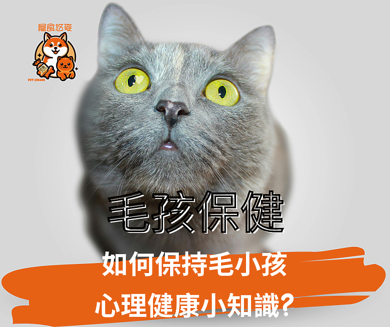 毛孩保健 如何保持毛小孩心理健康小知識?