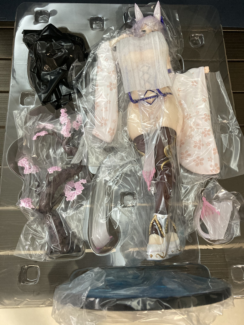 Rocket Boy淋濕的旗袍貓娘開箱