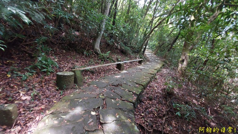 [2024 台北大縱走第五段] 捷運劍潭站 → 碧山巖｜遇到不知死活的眼鏡蛇｜台北市區、山巒美景 盡收眼底