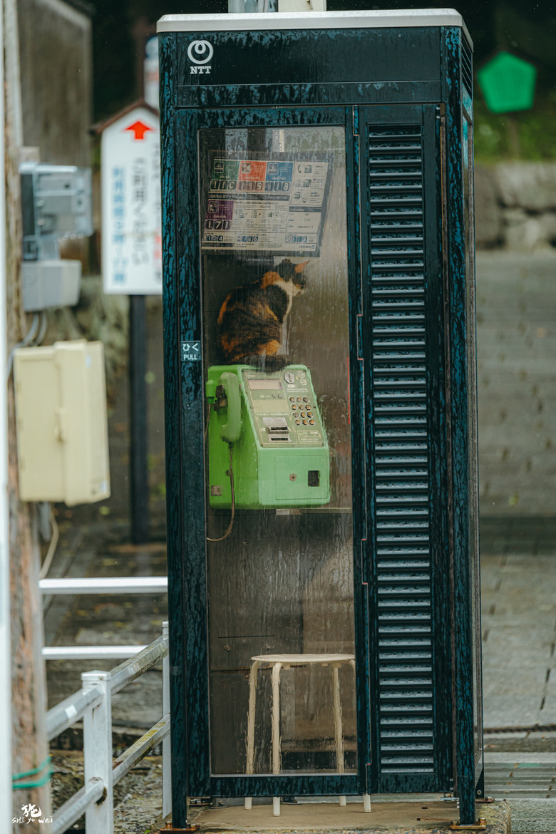 北九州自駕七日行 (福岡、由布院、長崎、佐賀)圖多