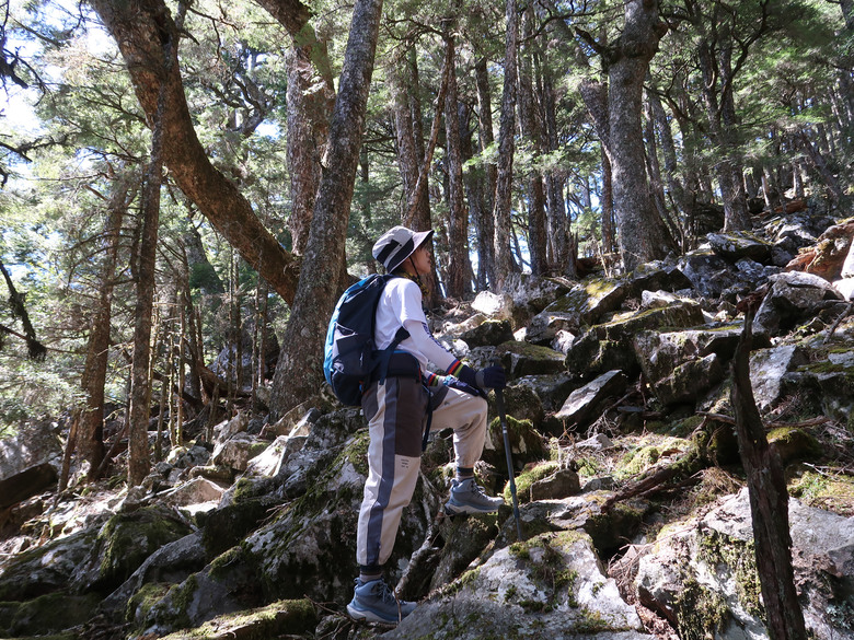 點我看大圖 【南橫溪頭山】媲美南橫三星百岳的一座巨岩高山