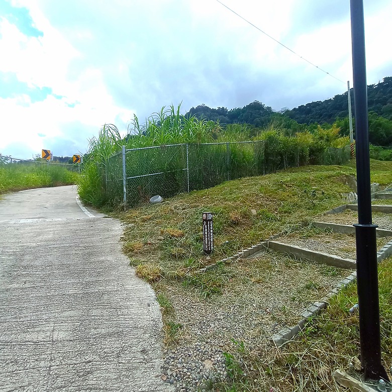 點我看大圖 豐原公老坪蜈蚣崎登山步道,舒適遼闊低難度的登山步道