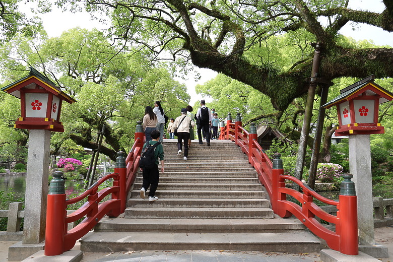 點我看大圖 北九州八天七夜自由行--福岡 /門司港 /由布院 /別府 /熊本 /柳川 /太宰府 /海之中道