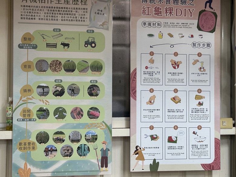 【小惡魔畫蛇添福】騎遊恒春龍水社區生態旅遊(紅龜粿DIY、摸蜆體驗)