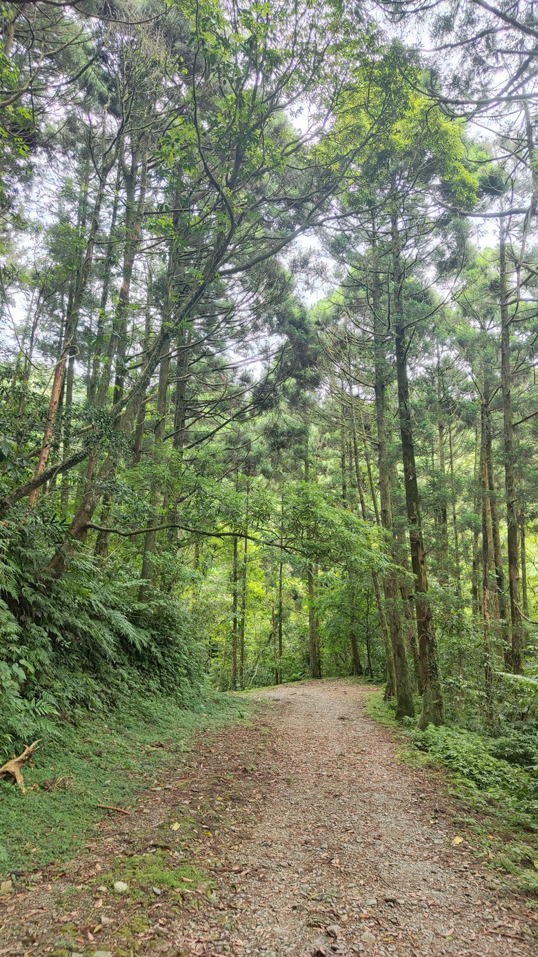 宜蘭頭城 | 最高寺廟 | 海景第一排 | 太和宮金殿