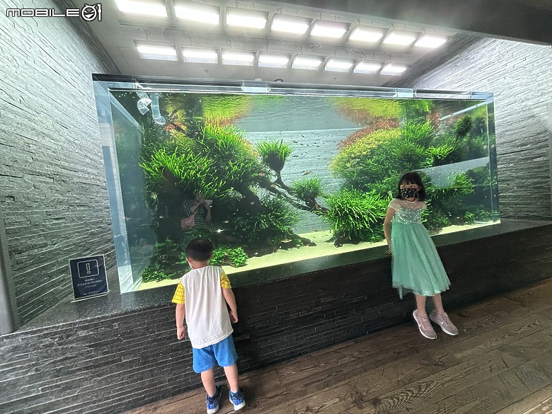 東京之旅｜東京晴空塔下的神祕的海洋奇妙冒險：墨田水族館一遊