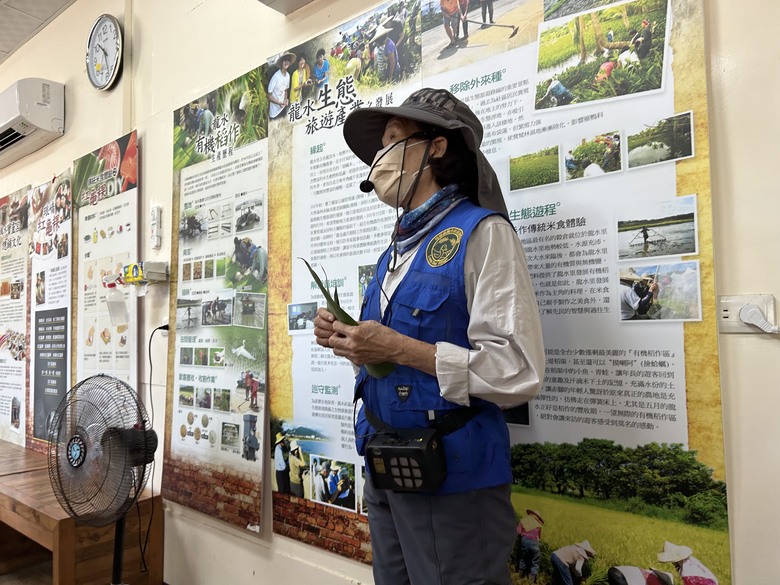 【小惡魔畫蛇添福】騎遊恒春龍水社區生態旅遊(紅龜粿DIY、摸蜆體驗)