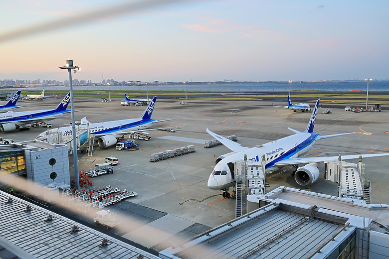 (映像分享) 搭乘全日空的波音787感受大和飛行夢想之翼in商務艙、豪華/經濟艙 feat. ANA