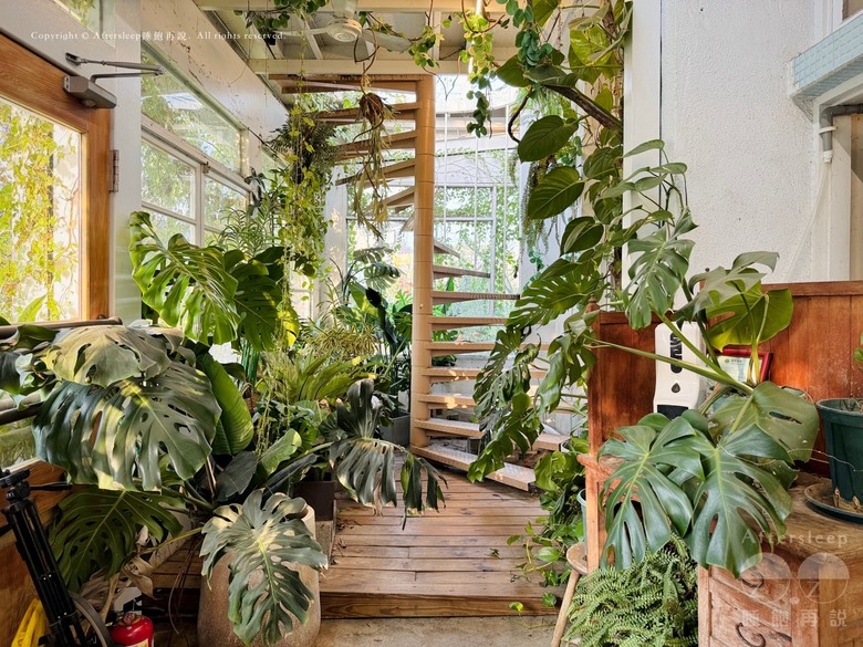 嘉義東區｜廢溫室 GREENHOUSE CAFÉ＿充滿綠意的百年老屋咖啡廳