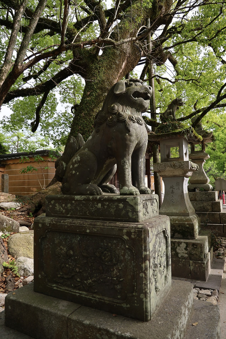 點我看大圖 北九州八天七夜自由行--福岡 /門司港 /由布院 /別府 /熊本 /柳川 /太宰府 /海之中道