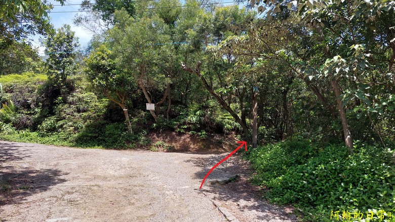 [2024 台北大縱走第五段] 捷運劍潭站 → 碧山巖｜遇到不知死活的眼鏡蛇｜台北市區、山巒美景 盡收眼底